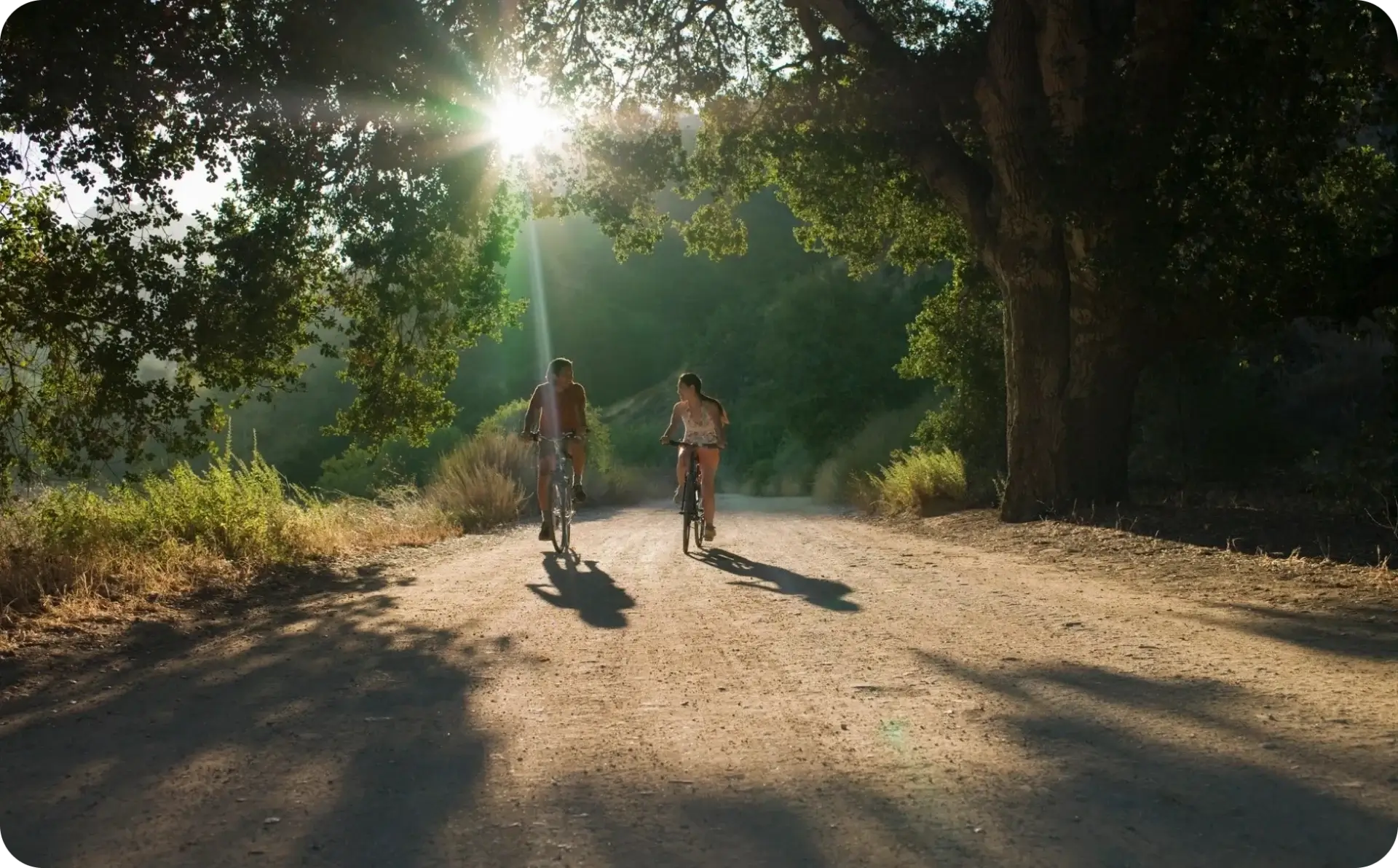 Two people ride bicycles on a sunlit dirt path, surrounded by trees.