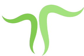 Green abstract shape on black background.