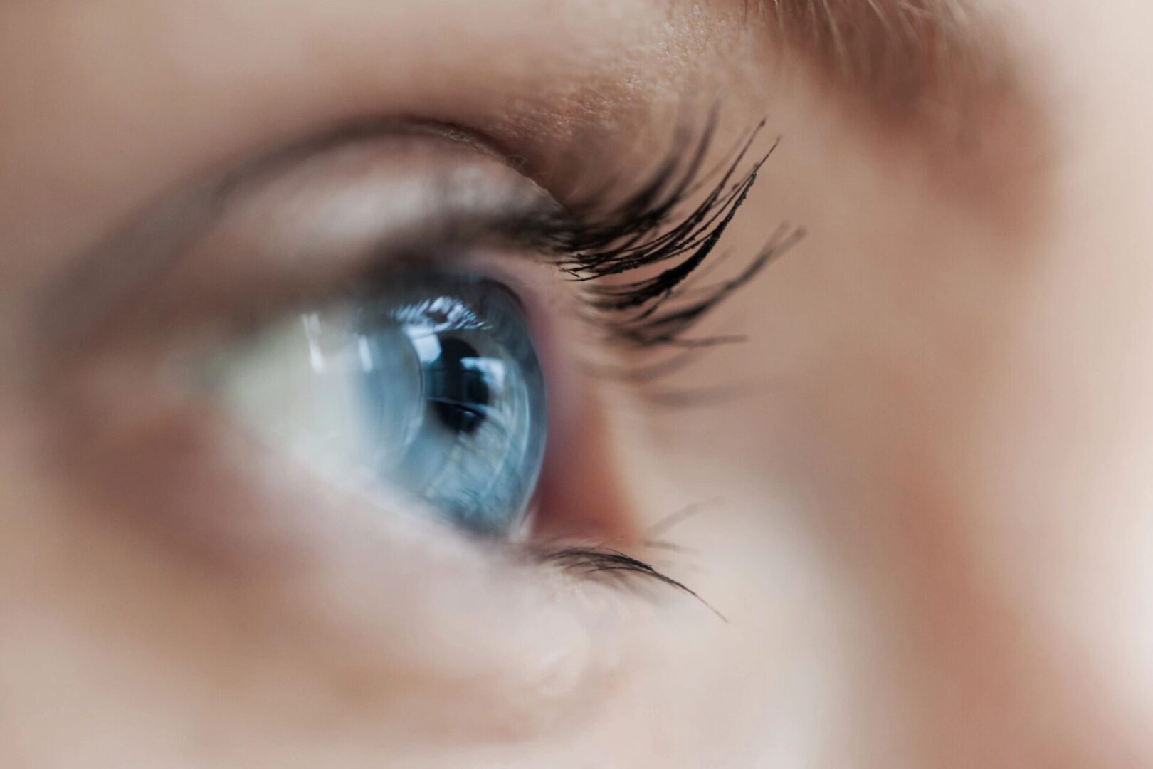 Close-up of a blue eye with long eyelashes, showing detail of the iris and reflections on the cornea.