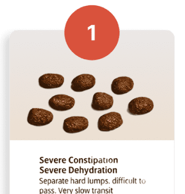 Pebble-like hard stools diagram: severe constipation