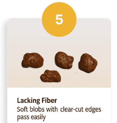 Bristol stool chart Type 5 illustration