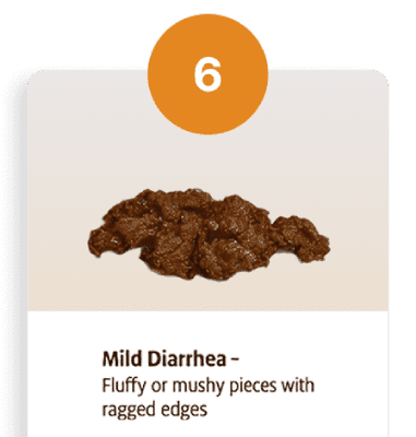 Type 6 stool chart: fluffy, mushy pieces